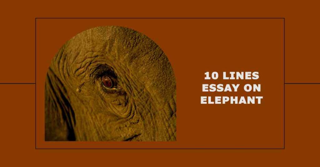 10 Lines Essay on Elephant