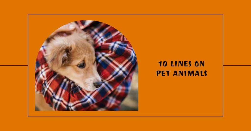 10 Lines on Pet Animals