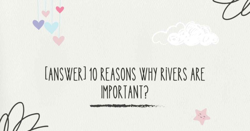 [Answer] 10 Reasons Why Rivers Are Important?