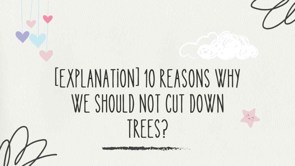 10 Reasons Why We Should not Cut Down Trees