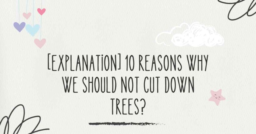 [Explanation] 10 Reasons Why We Should not Cut Down Trees?
