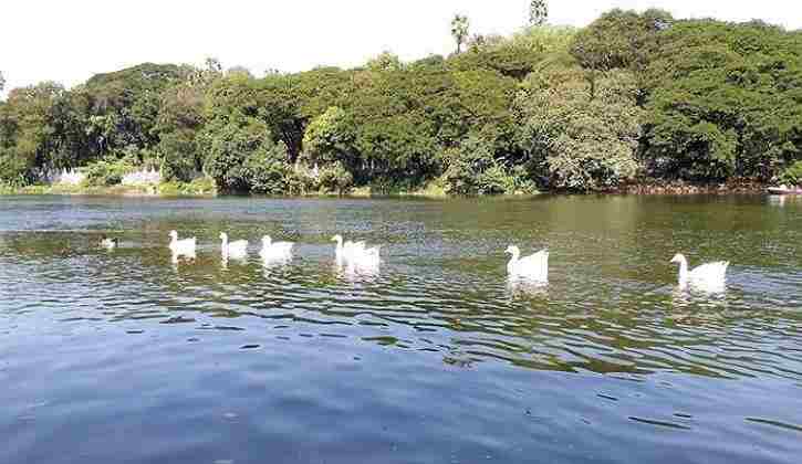 Chota kashmir mumbai lake 
