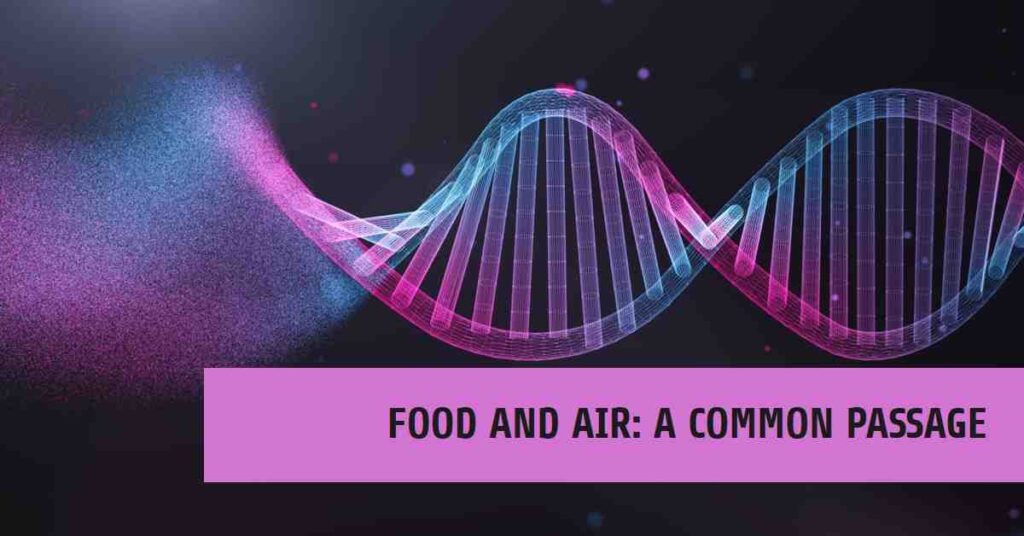 Common Passage for Food and Air