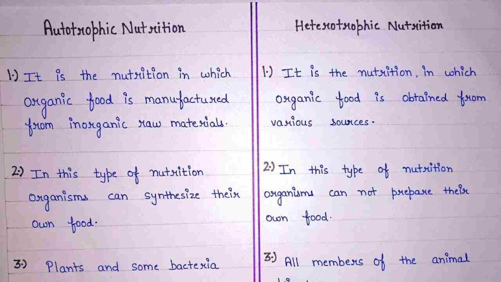 Difference between Autotrophic and Heterotrophic Nutrition thumbnail