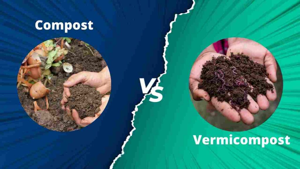 Difference between Compost and Vermicompost poster