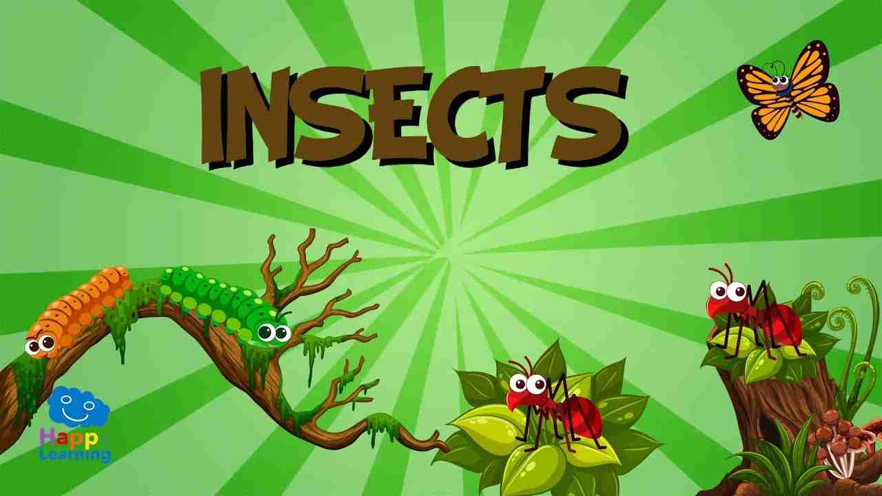 explore-10-key-difference-between-insect-and-pest-mymumbaipost