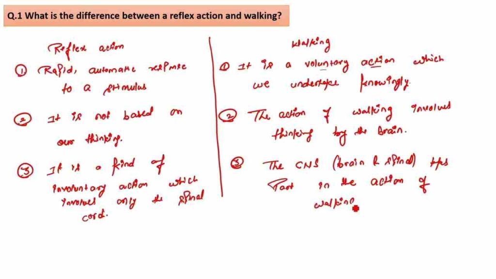 Difference between Reflex Action and Walking poster