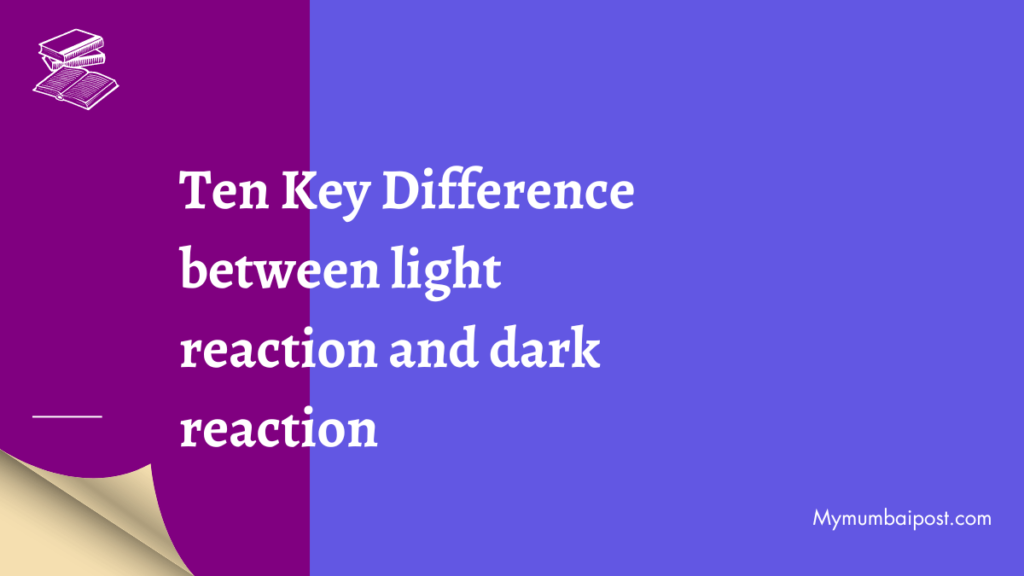 Difference between light reaction and dark reaction poster