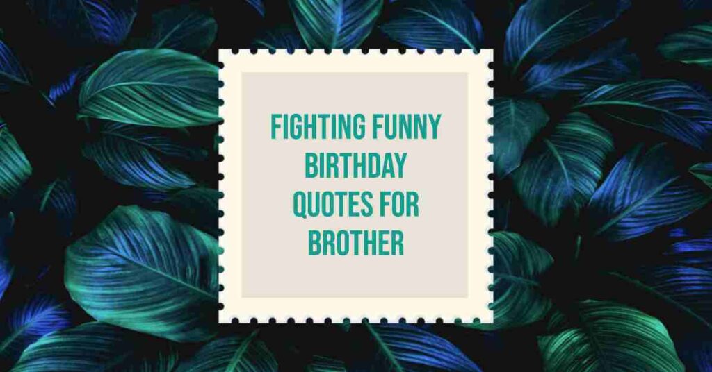 Fighting Funny Birthday Quotes for Brother