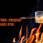 Fire: Friend and Foe Class 7 Short Summary in English
