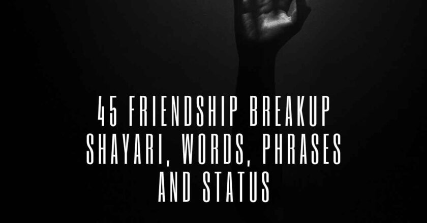 45 Friendship Breakup Shayari, Words, Phrases and Status