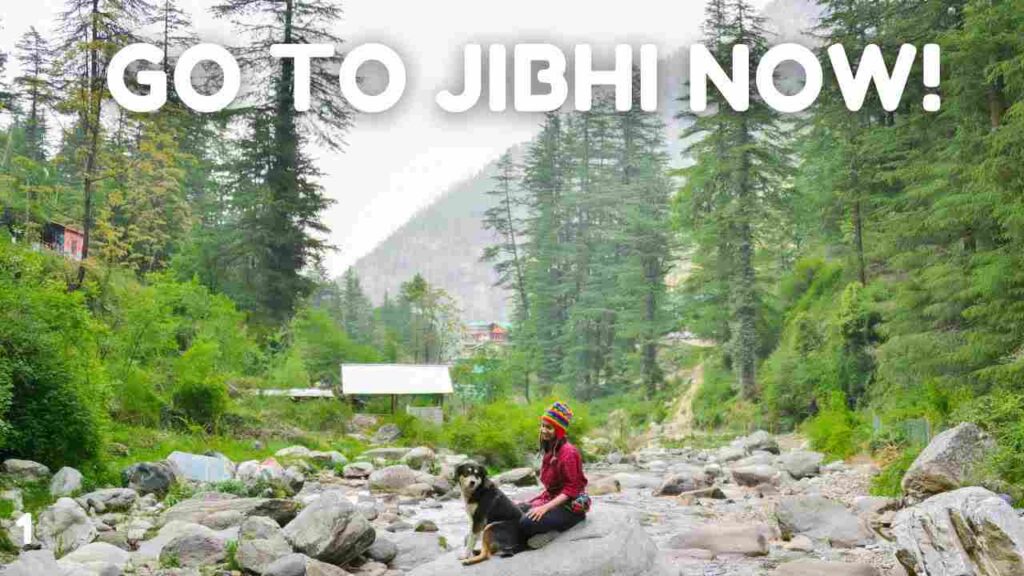 How to reach Jibhi from Delhi
