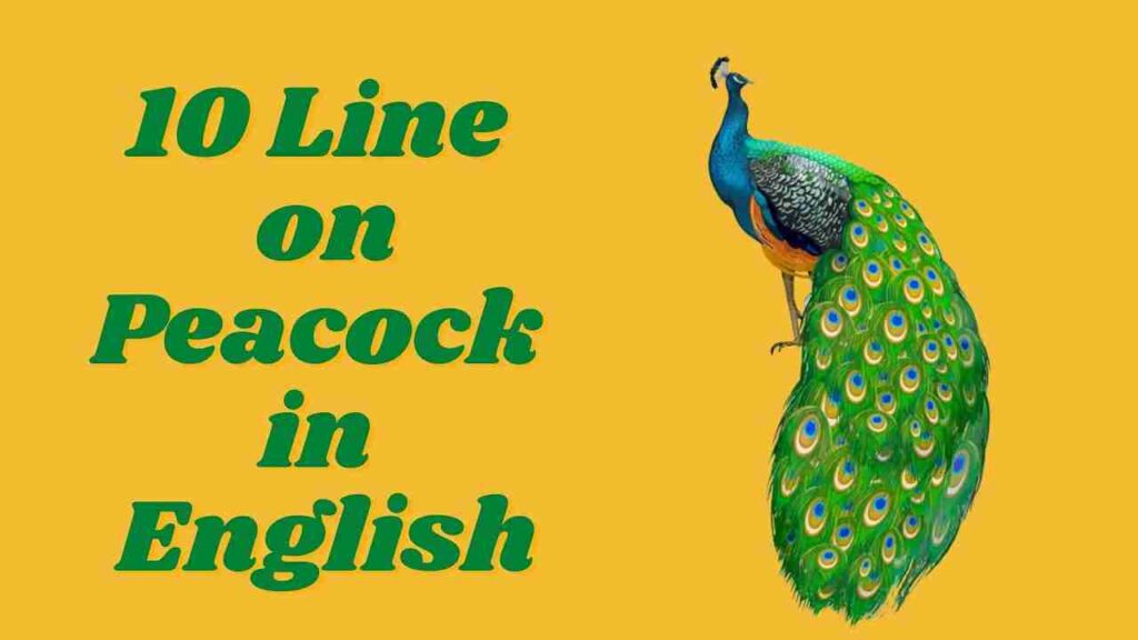 Lines On Peacock