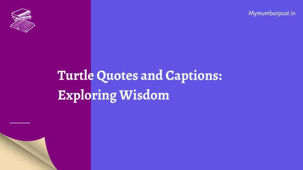 Turtle Quotes and Captions