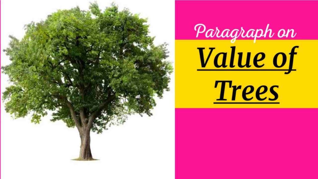 Value of Trees paragraph and Short Essay