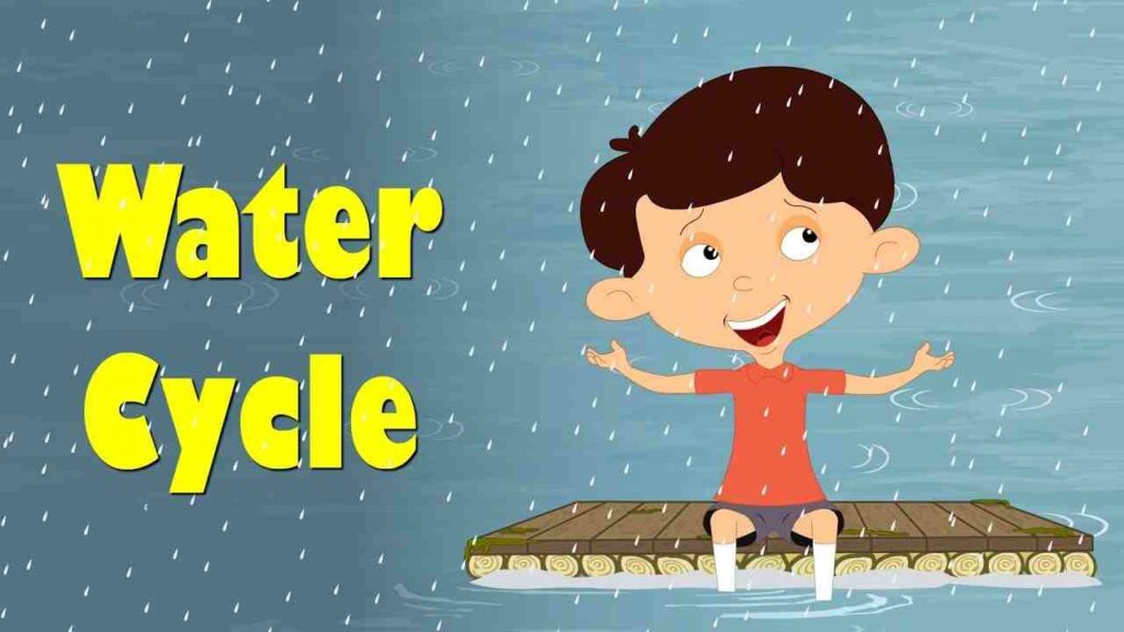 Water Cycle Paragraph