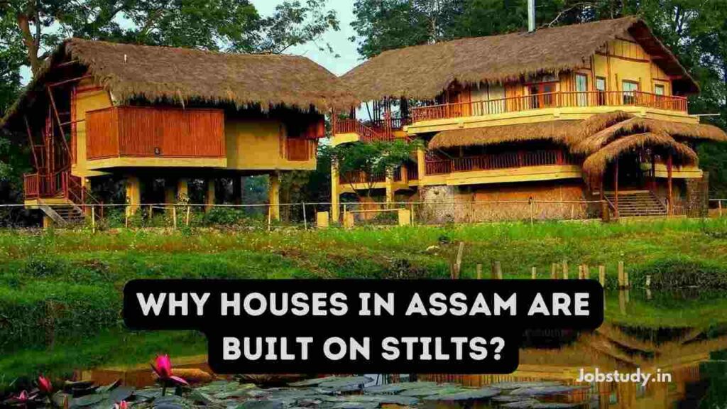 Why Houses in Assam Are Built on Stilts