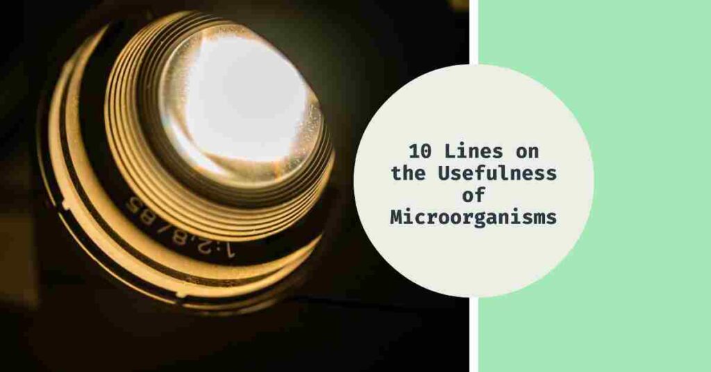 Write 10 Lines on The Usefulness of Microorganisms for Students