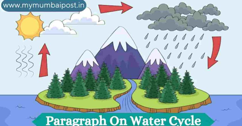 Exploring the Fascinating Water Cycle: A Brief Paragraph