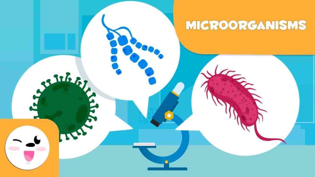 harms caused by microorganisms Paragraph