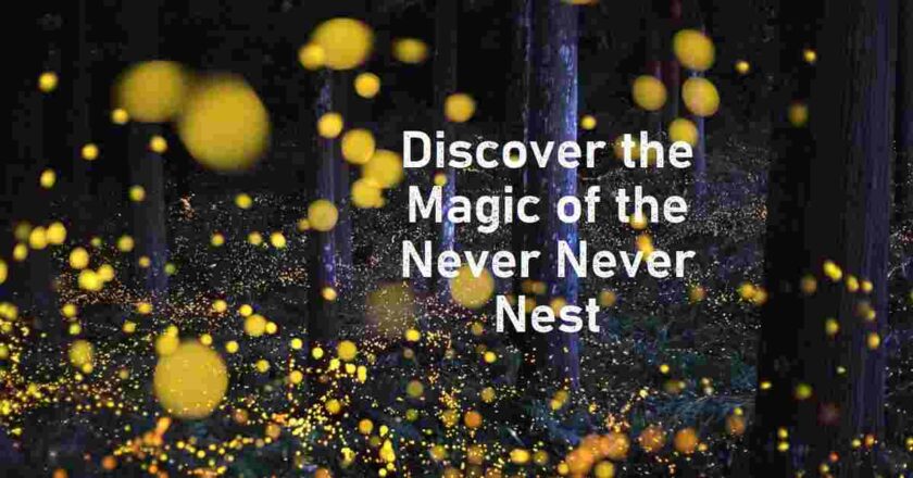 The Never Never Nest by Cedric Mount Short Summary in English
