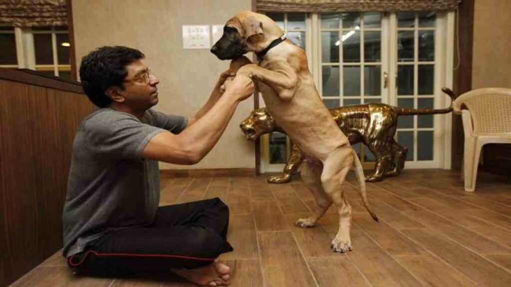 raj thackeray playing with his dog