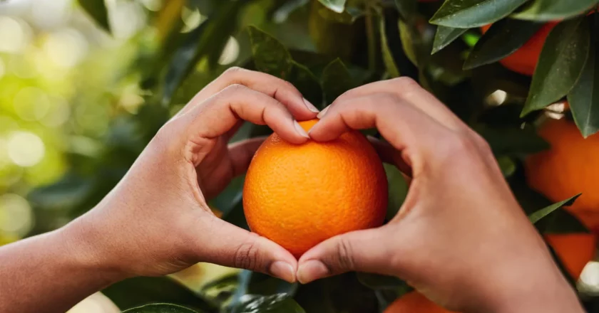 “Juicy Memories: A Poem on Oranges”