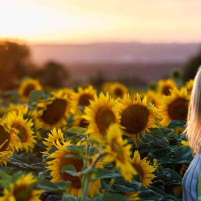 “Golden Verses: Poems of Sunflowers”