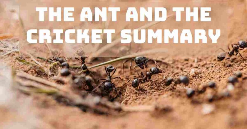 The Ant and the Cricket Summary Class 8 English