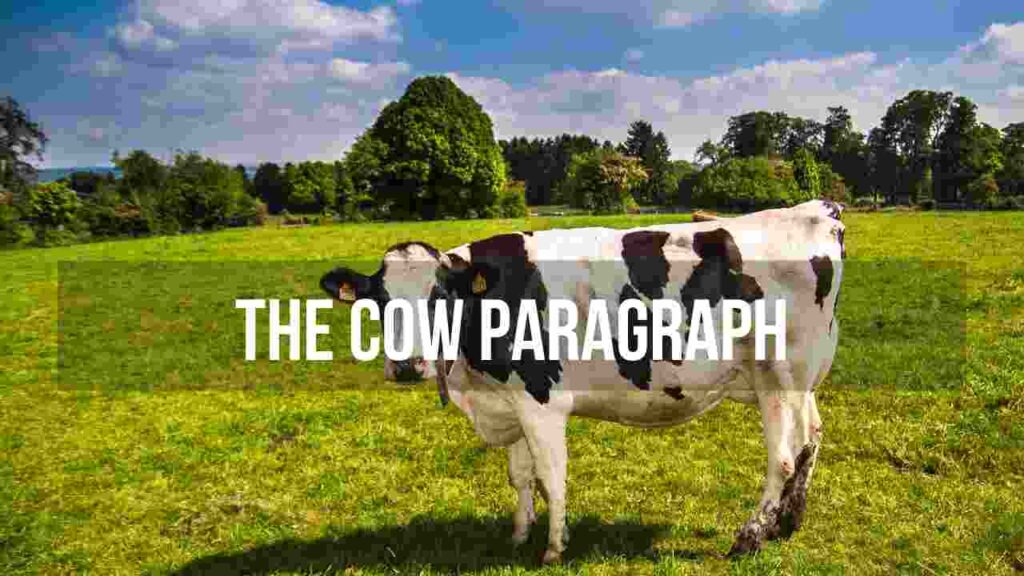 cow lines and paragraph